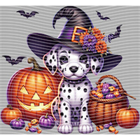 Halloween-WS 5733